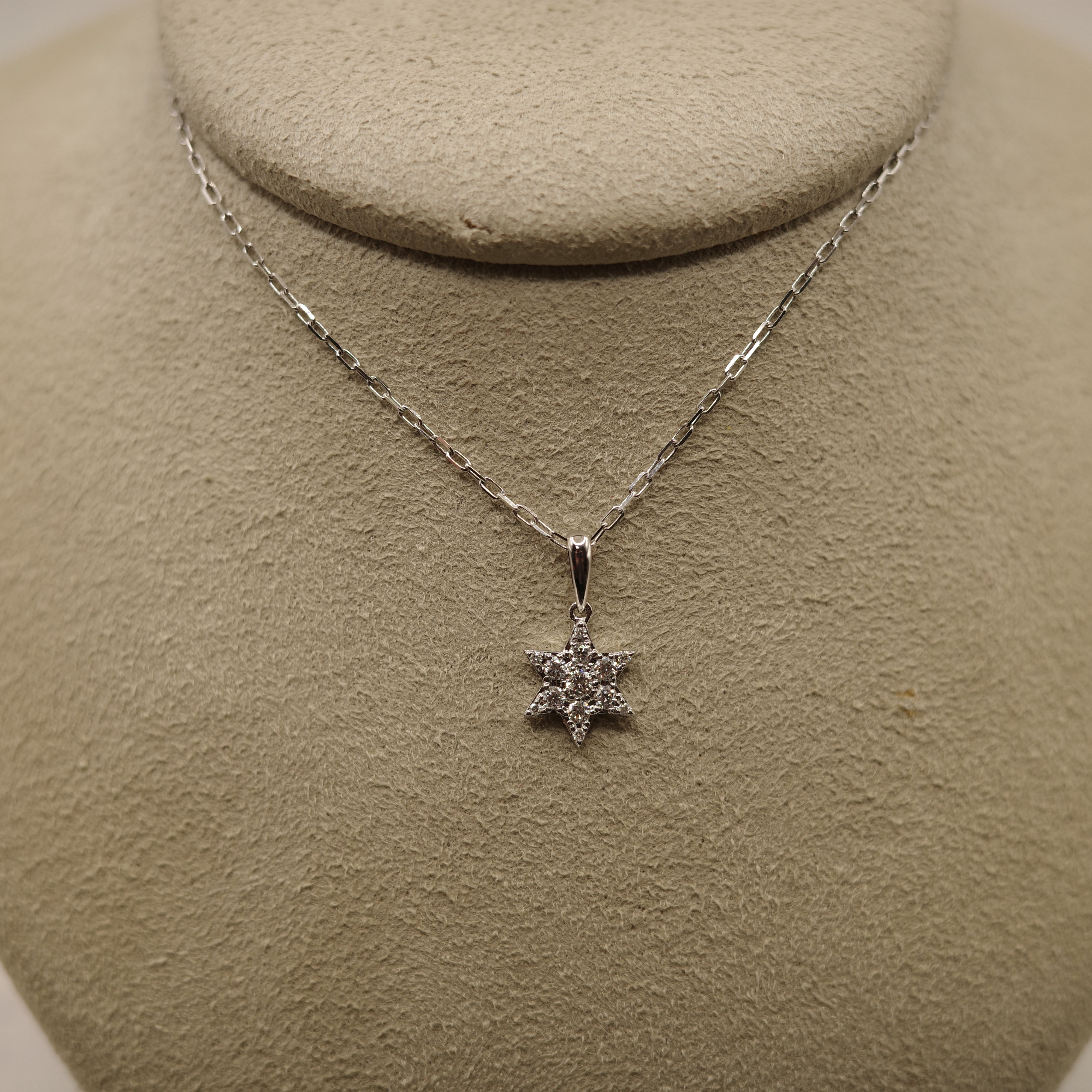 Diamond (0.14 ctw) Star Pendant Set in 14kt White Gold on 14kt White Gold 18" Chain